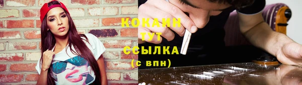амф Бородино
