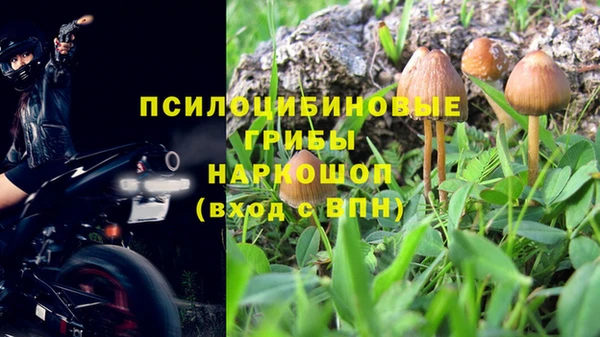 амф Бородино