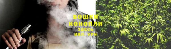 дурь Лабытнанги