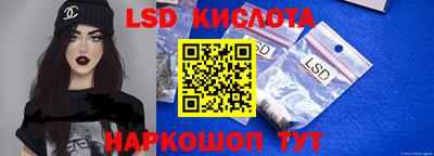 PSILOCYBIN Моздок