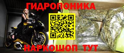 PSILOCYBIN Моздок