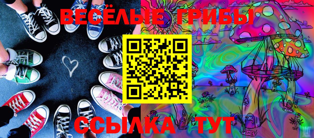 Галлюциногенные грибы мухоморы Вязники